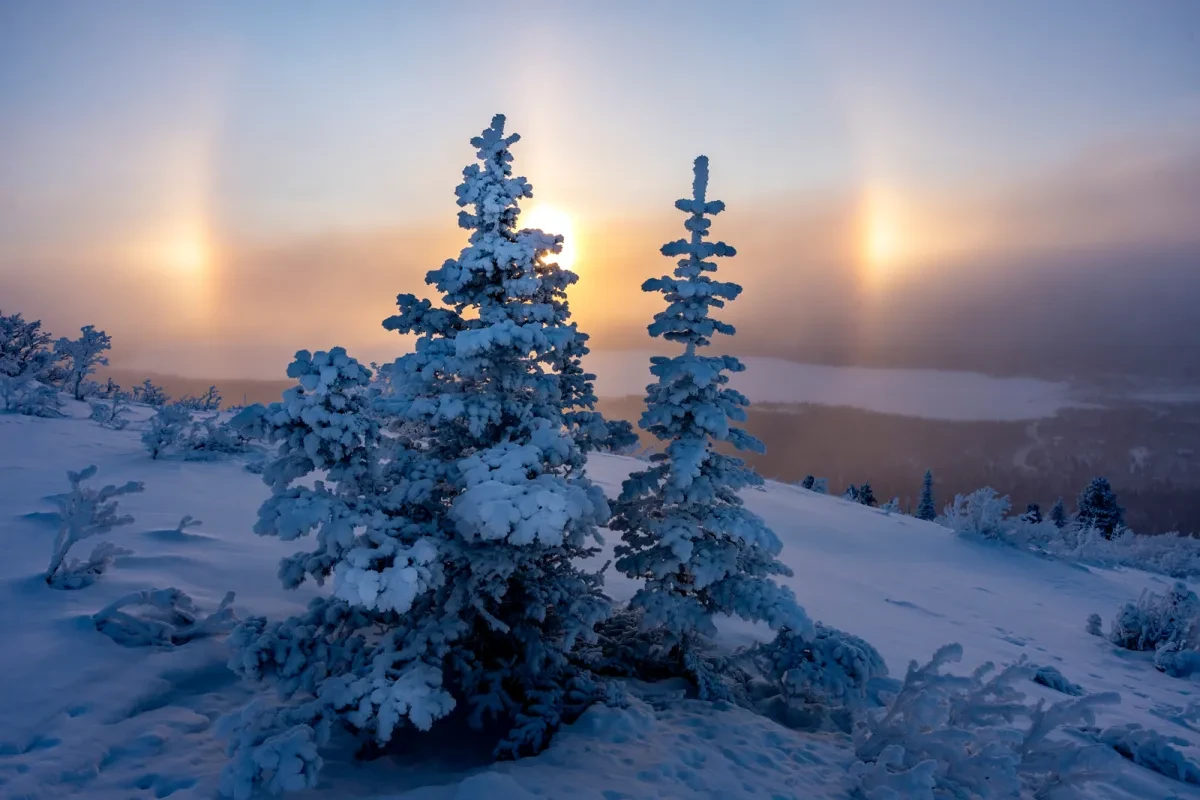 A snowy mountain with fir trees in front of the hazy sun and two sun-like prisms.